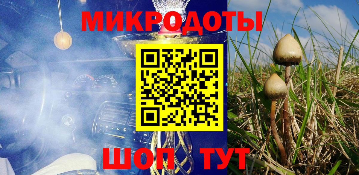 Якутск  Псилоцибиновые грибы мухоморы  Псилоцибиновые грибы Psilocybe  Вход с VPN 